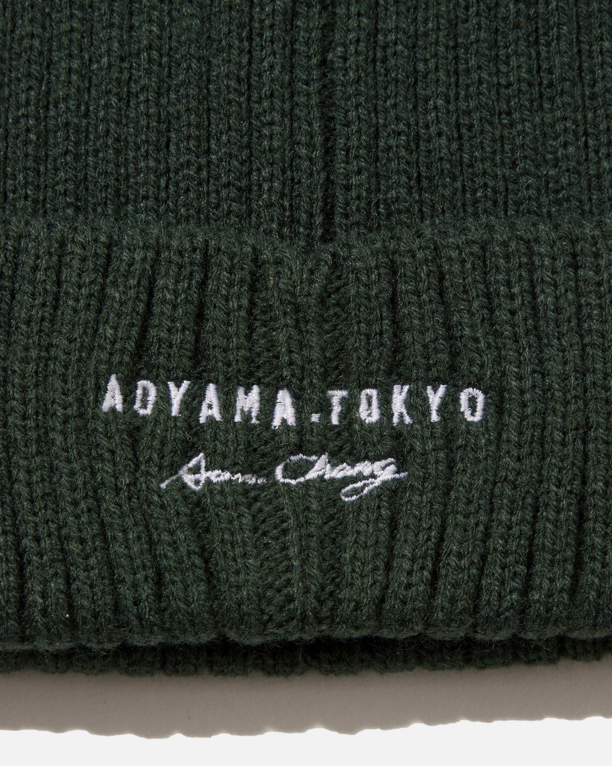 Aaron Chang Green Watch Cap