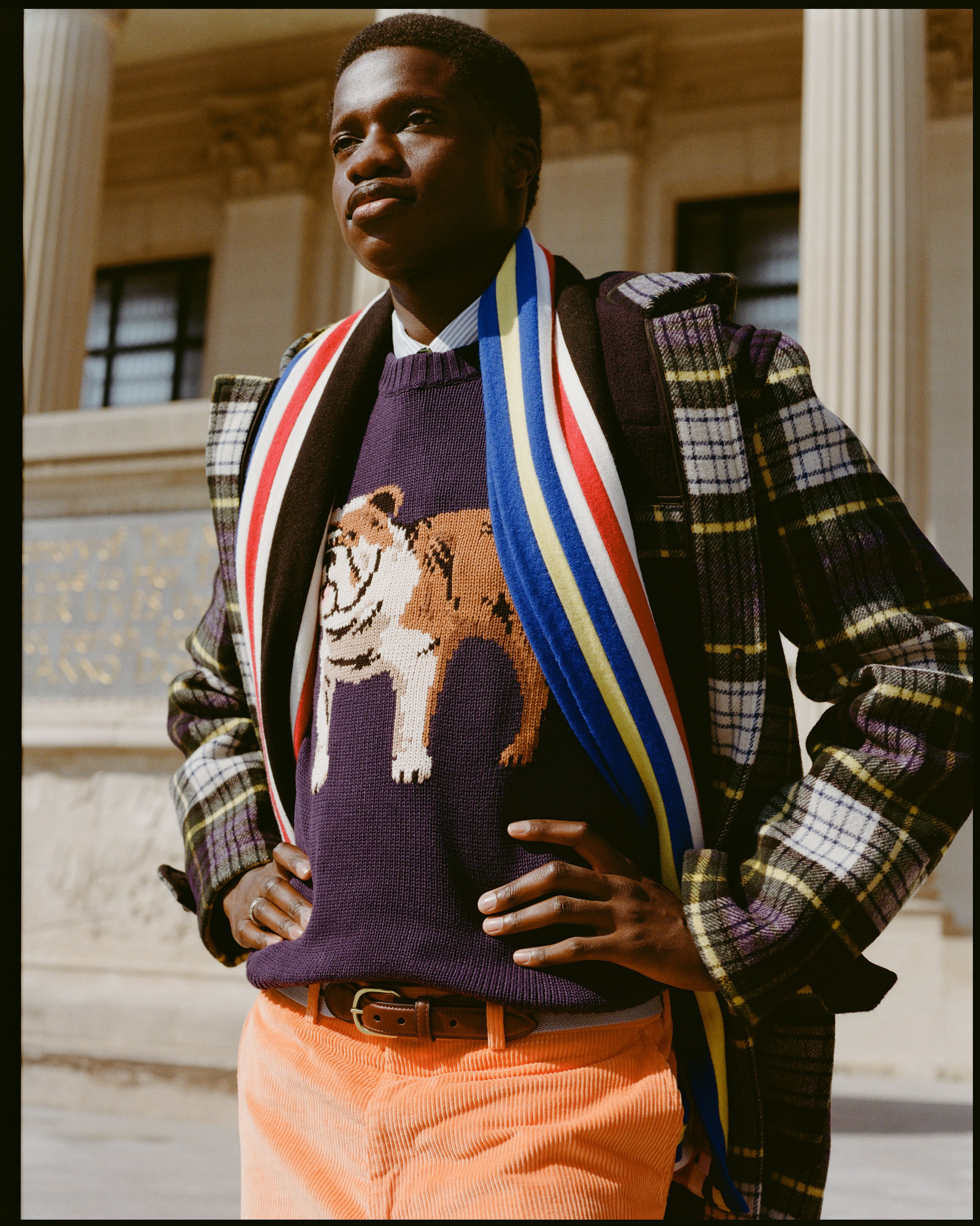 Bulldog Intarsia Knit Cotton Sweater