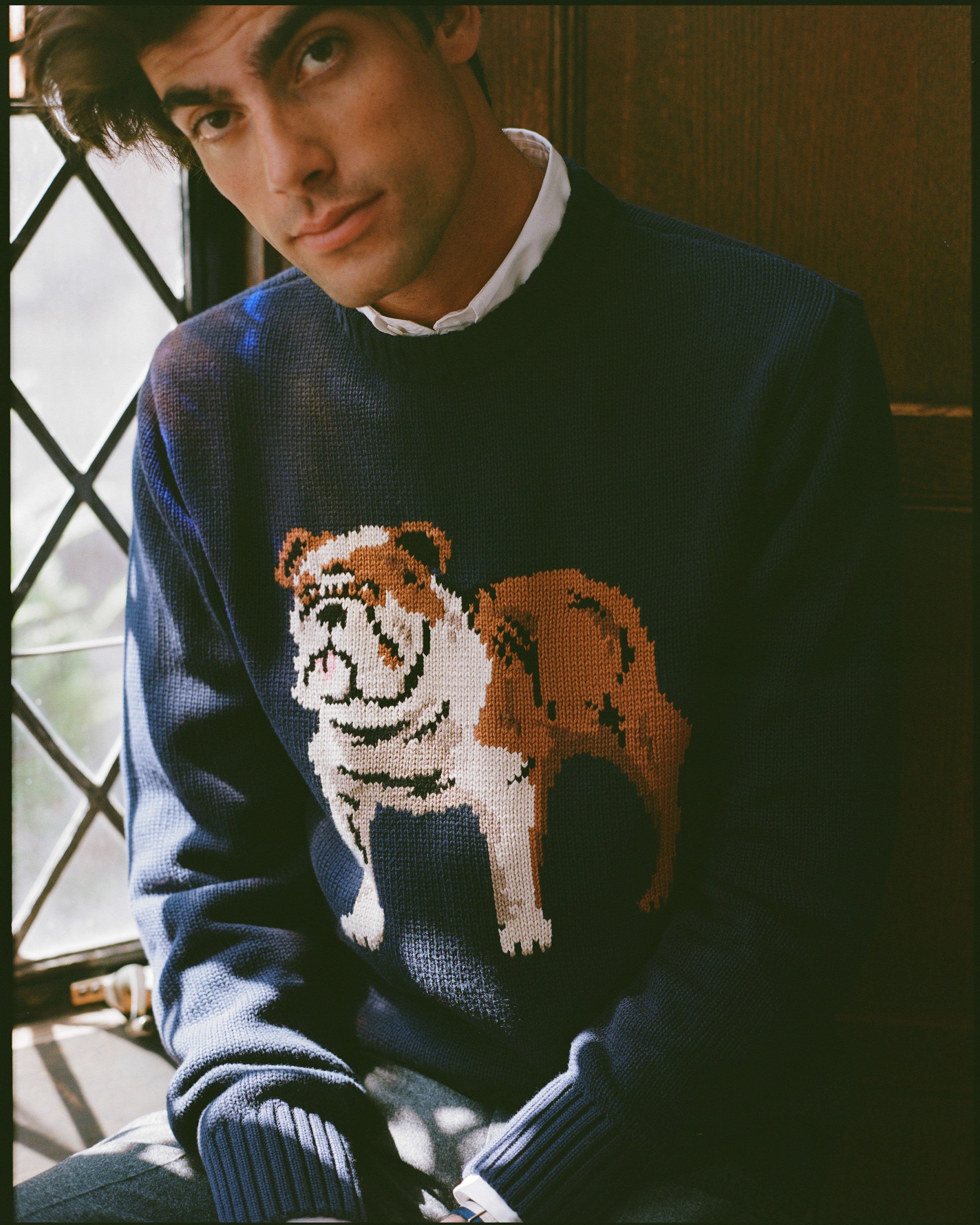 Bulldog Intarsia Knit Cotton Sweater