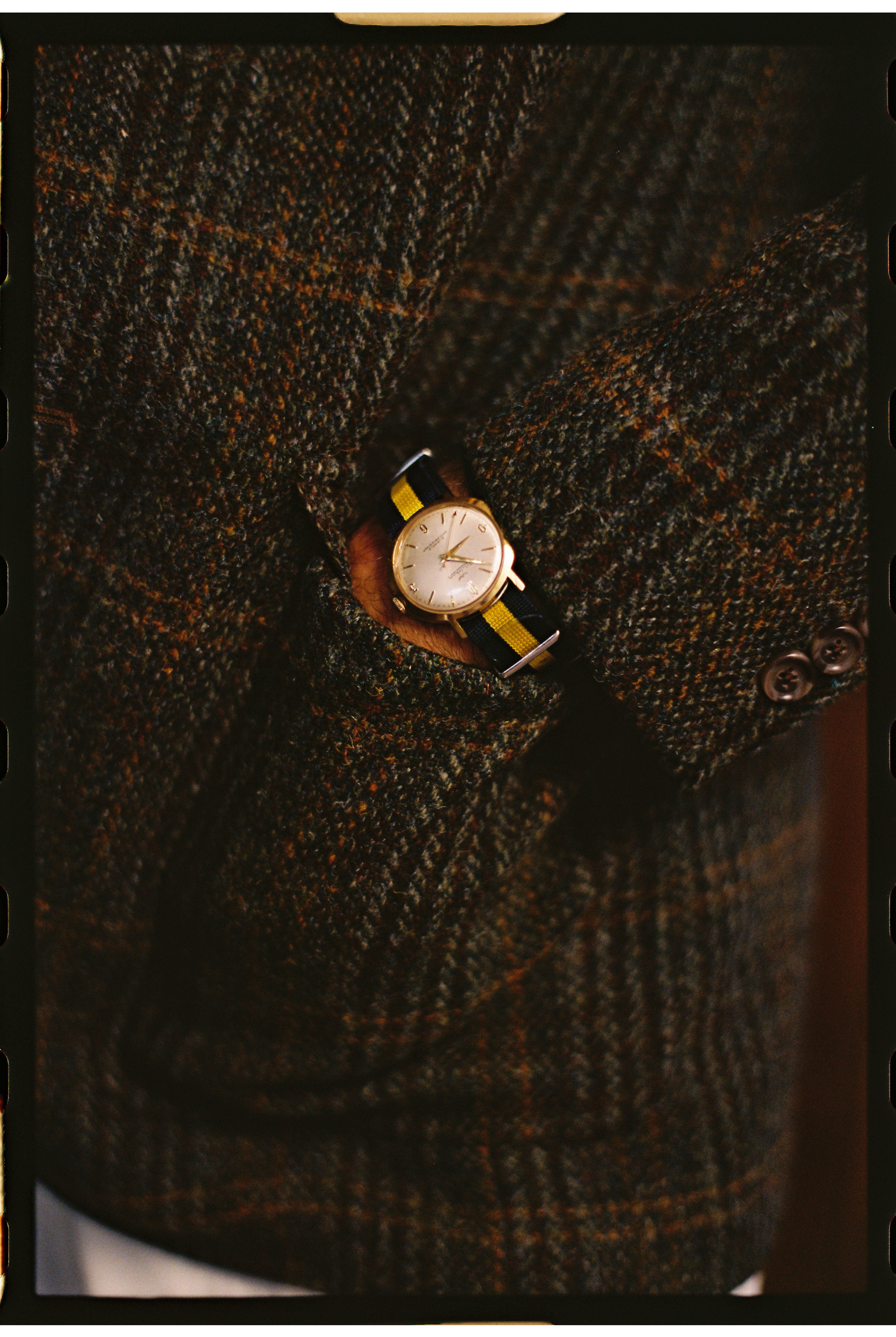 Princess of Wales Regimental Stripe Nylon Watch Strap