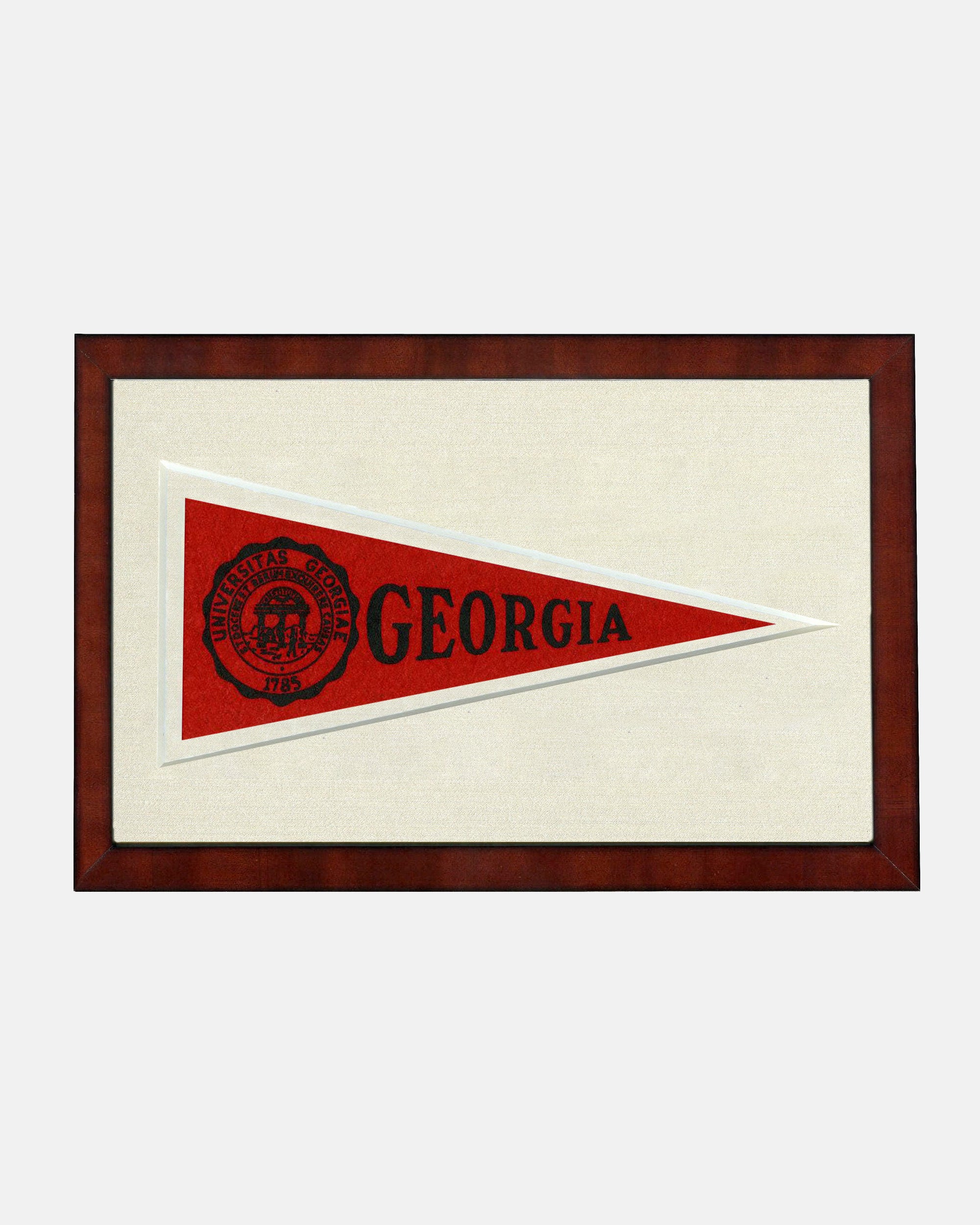 Georgia Framed Vintage Pennant