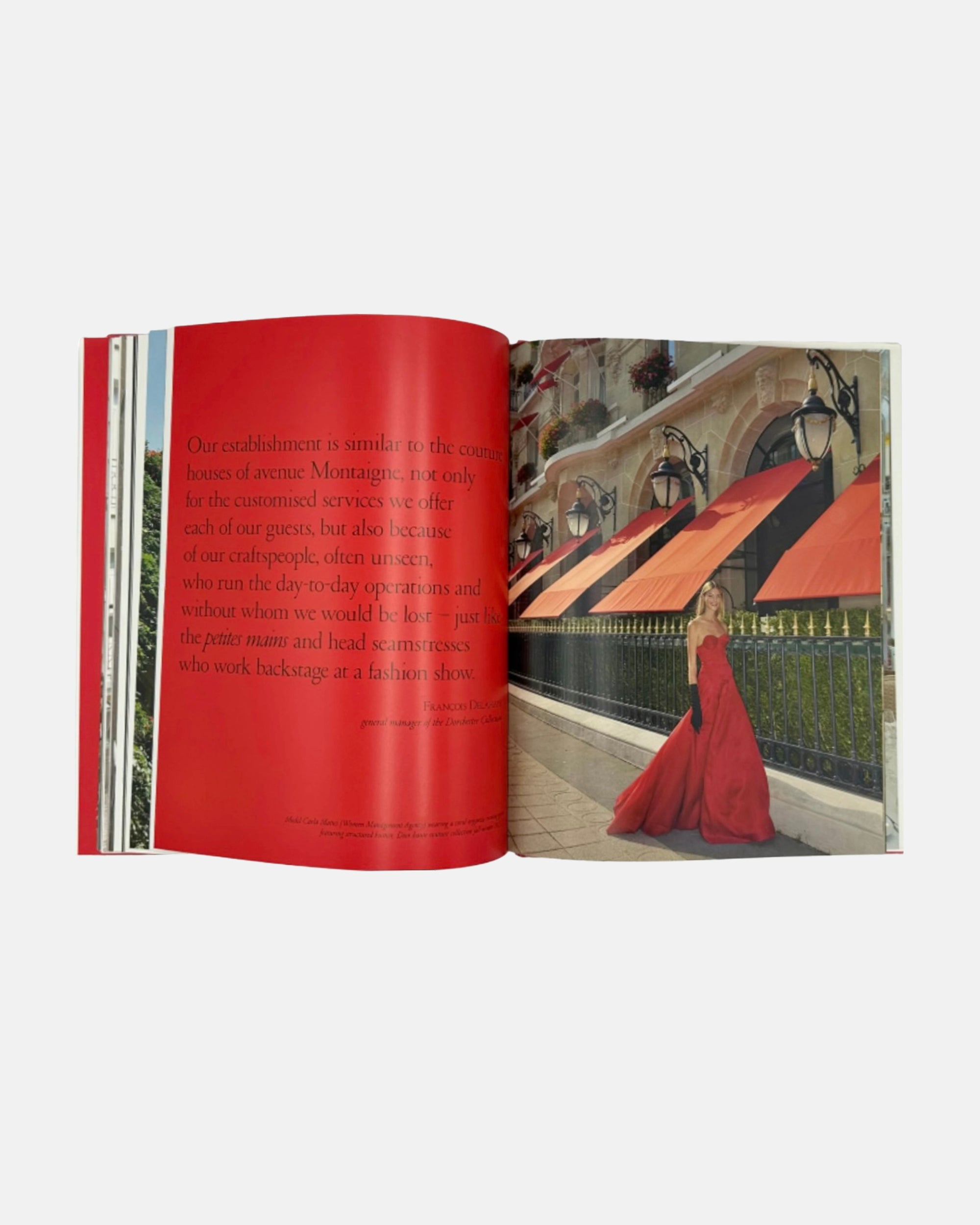 Hotel Plaza Athenee by Francois Simon Assouline 2015 Book