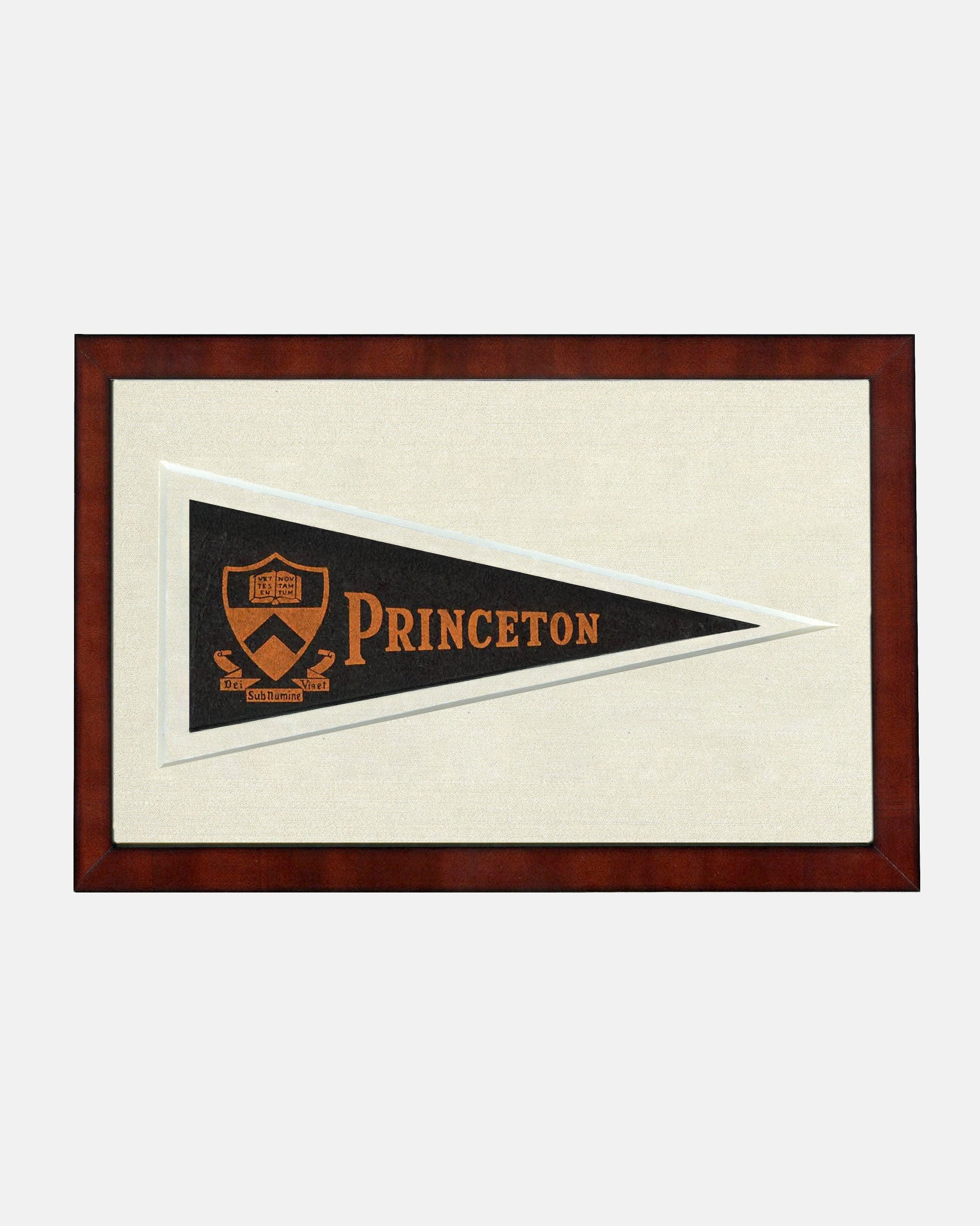 Princeton Framed Vintage Pennant