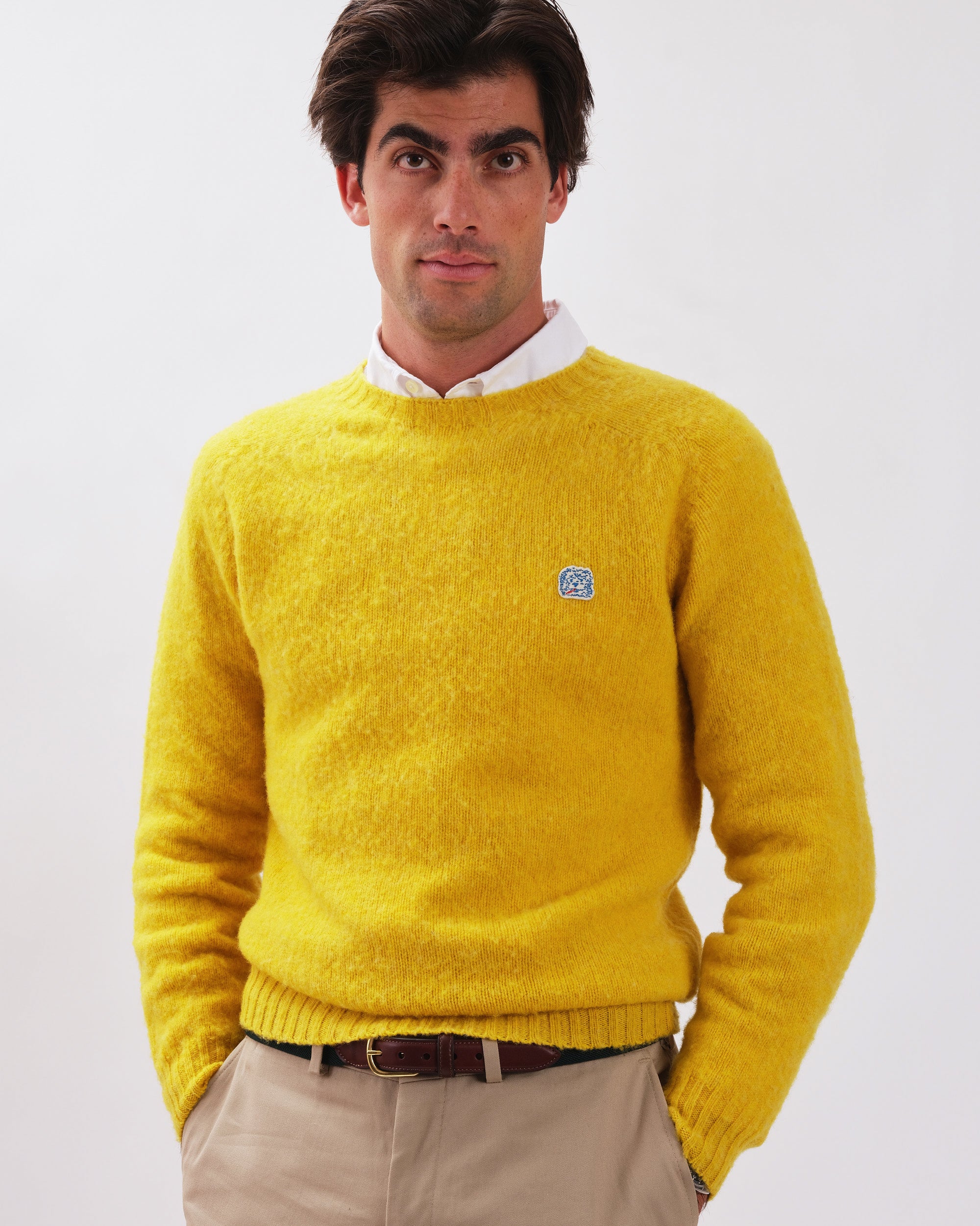 Made-in-Scotland Yellow Shaggy Dog Icon Sweater - Trim Fit