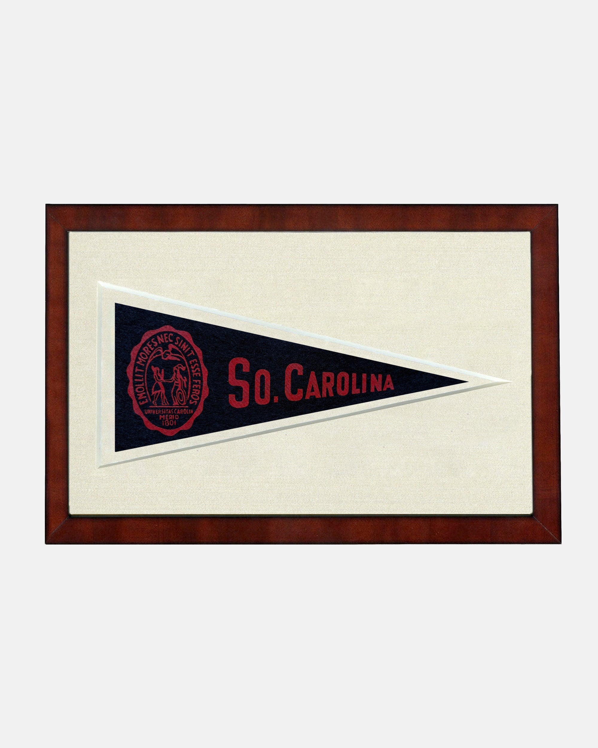 South Carolina Framed Vintage Pennant