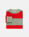 Made-in-Scotland Seafoam Green & Red Stripe Shaggy Dog Icon Sweater - Classic Fit