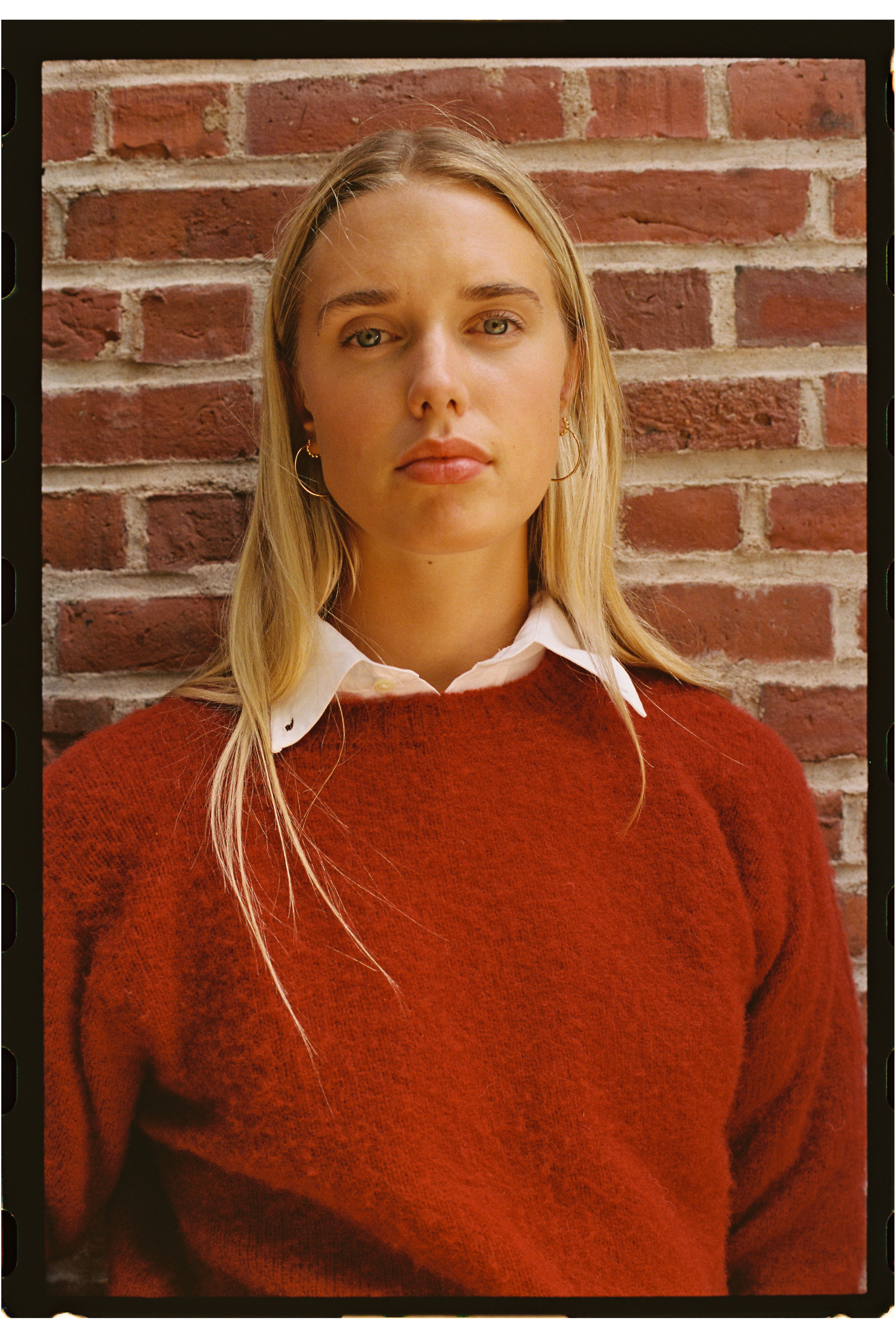 Made-in-Scotland Dark Red Shaggy Dog Sweater - Classic Fit