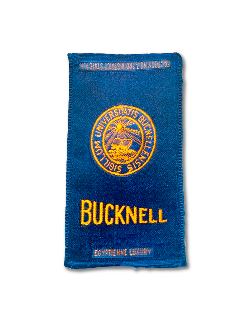 Bucknell College Silk Paperweight
