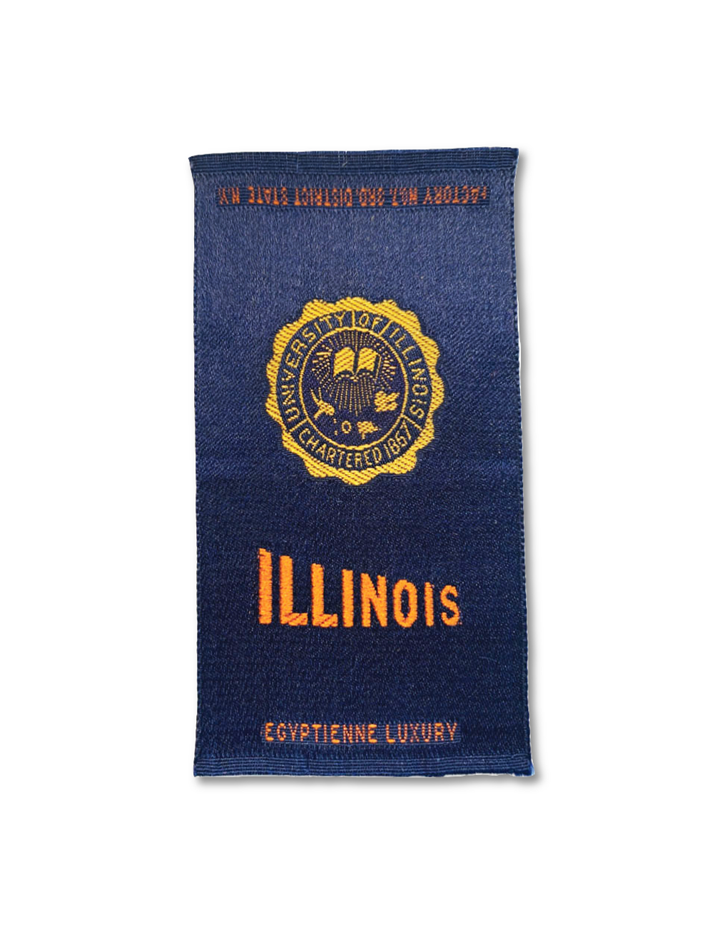 University of Illinois Silk Paperweight