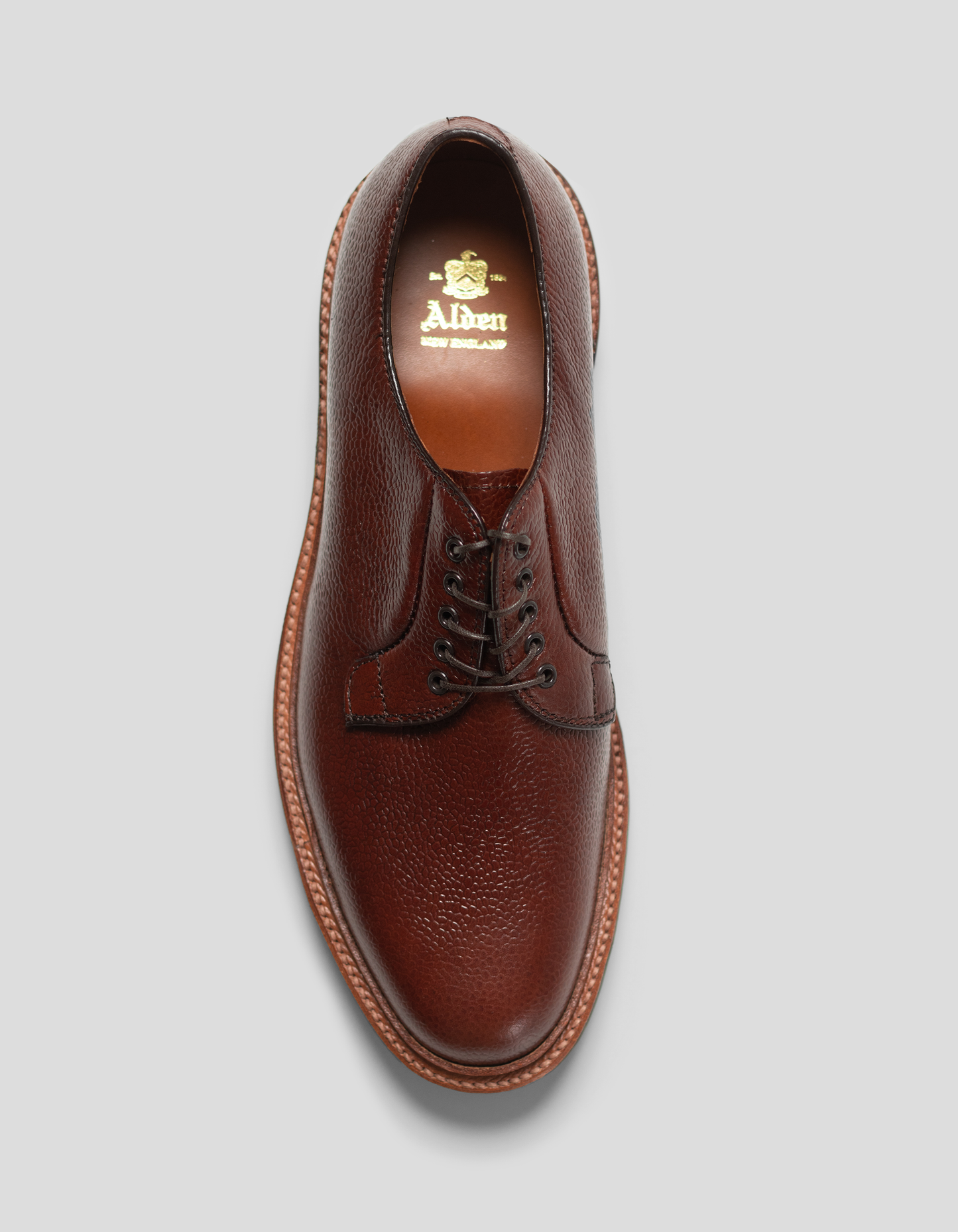 ALDEN SCOTCH GRAIN BLUCHER - BROWN