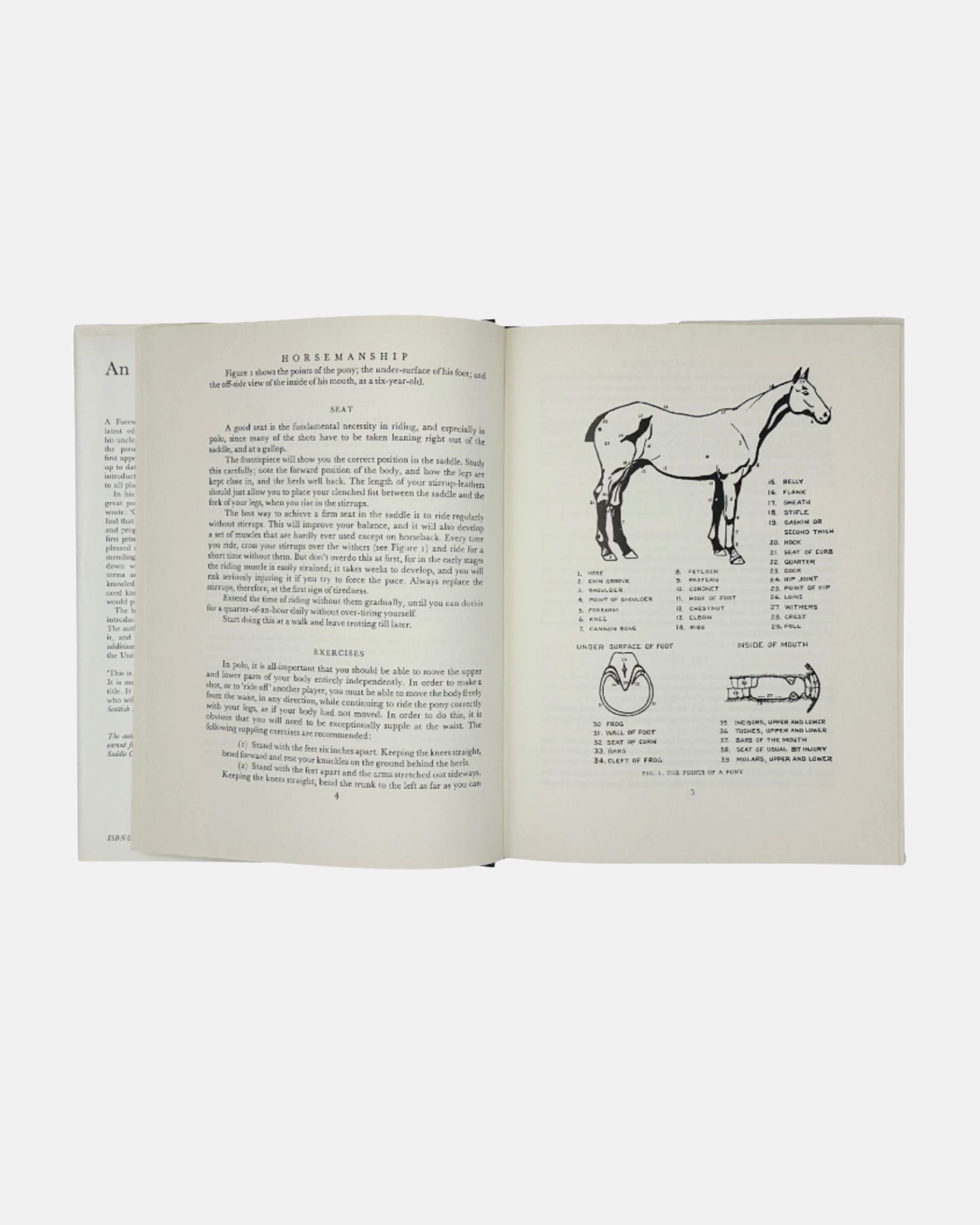 An Introduction to Polo by Marco 1982 Book Foreword by Charles, Prince of Wales