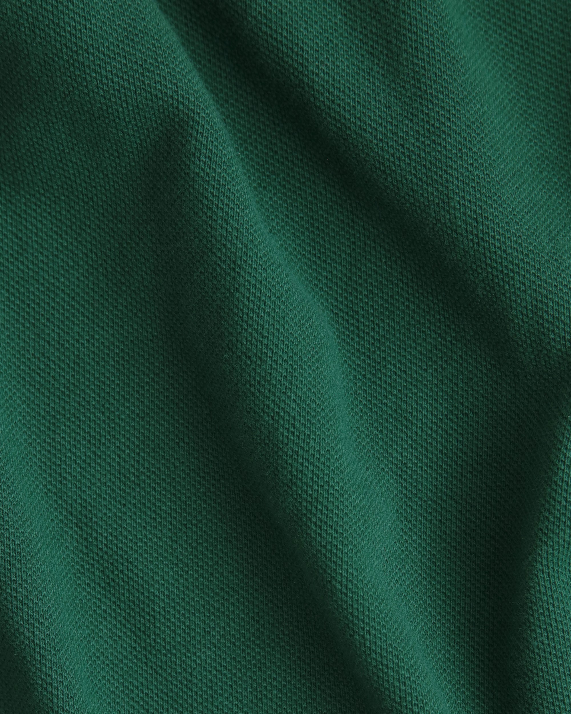 Dartmouth "D" Polo Shirt