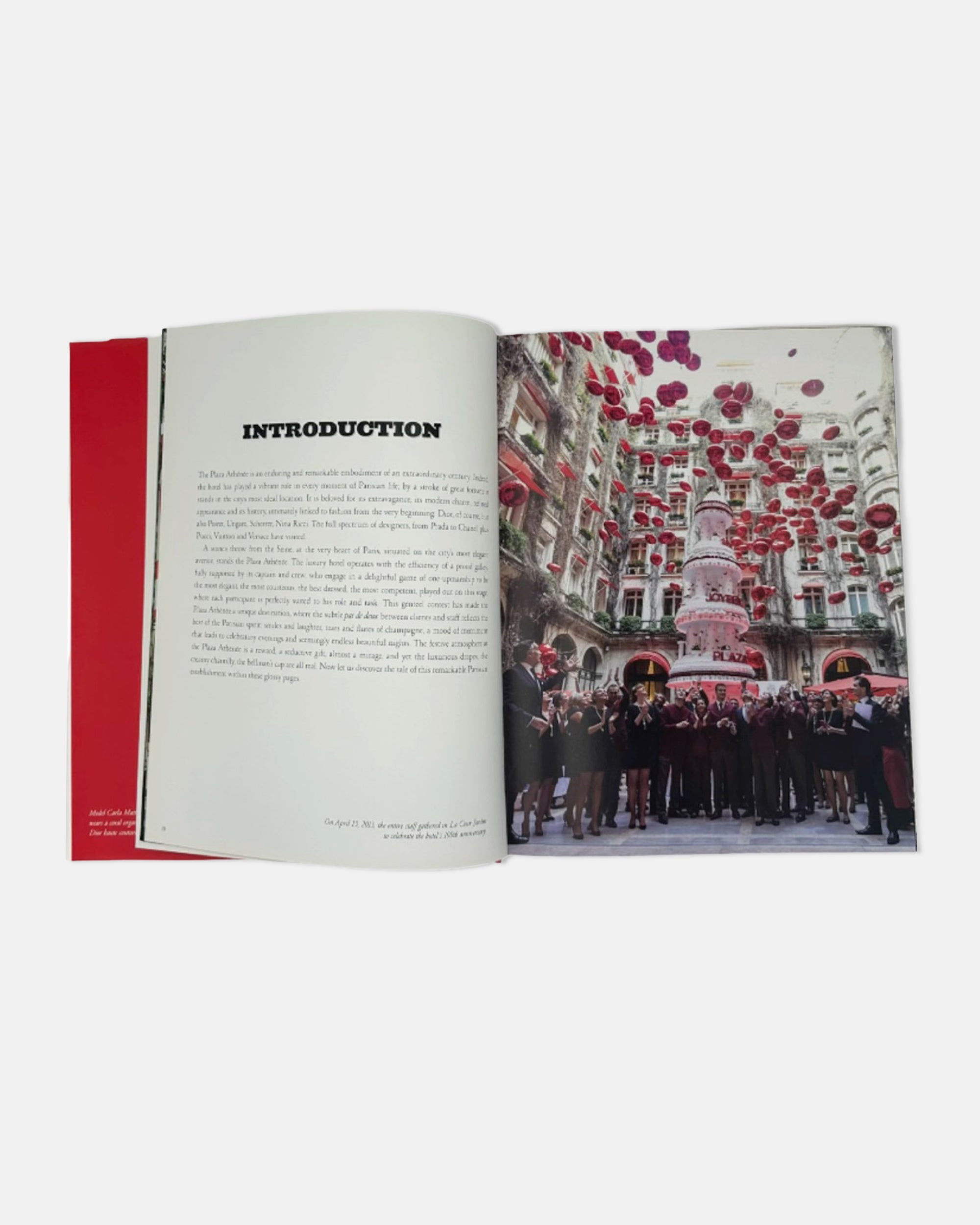 Hotel Plaza Athenee by Francois Simon Assouline 2015 Book