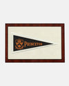 Princeton Framed Vintage Pennant