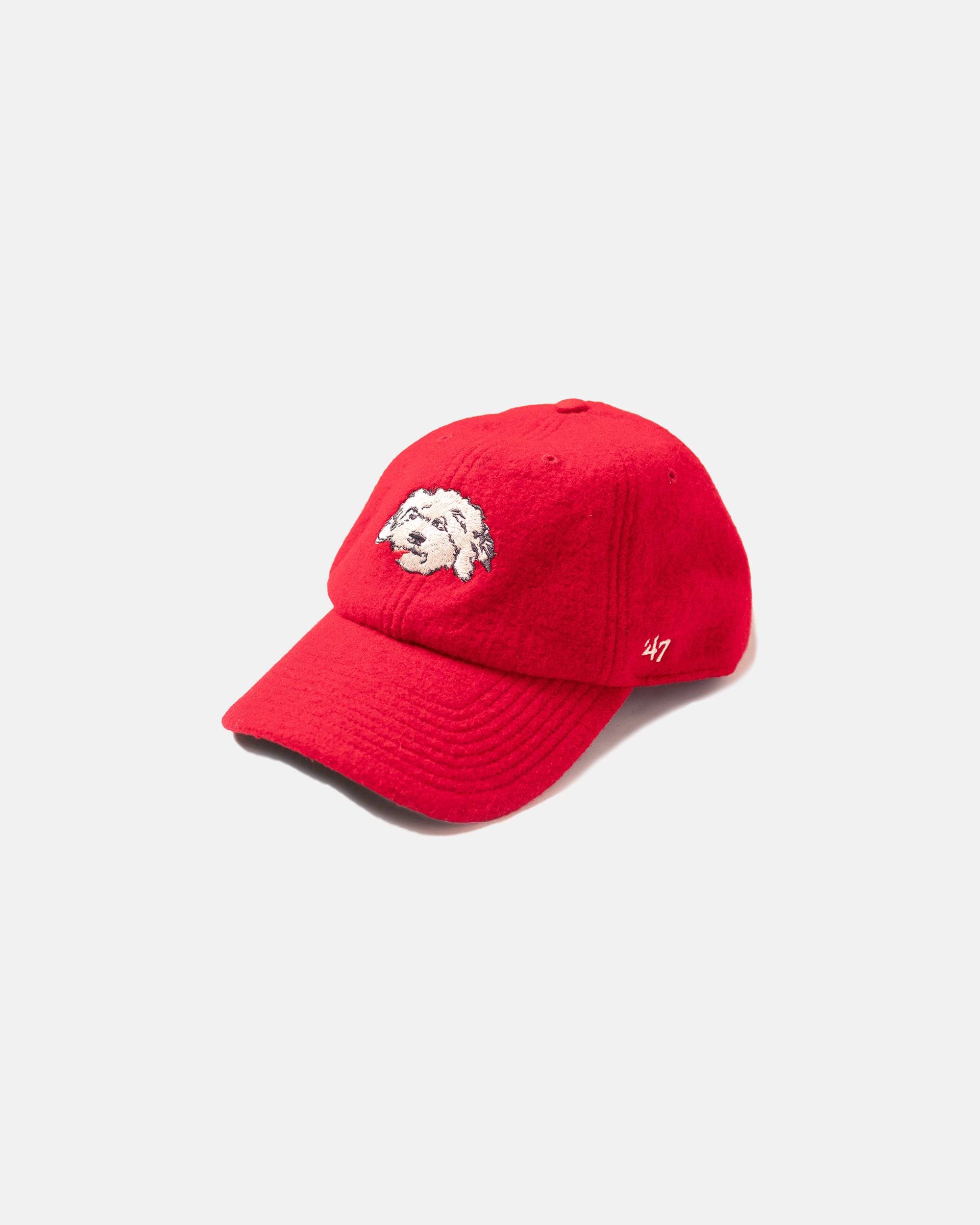 SHAGGY DOG BASEBALL CAP - RED