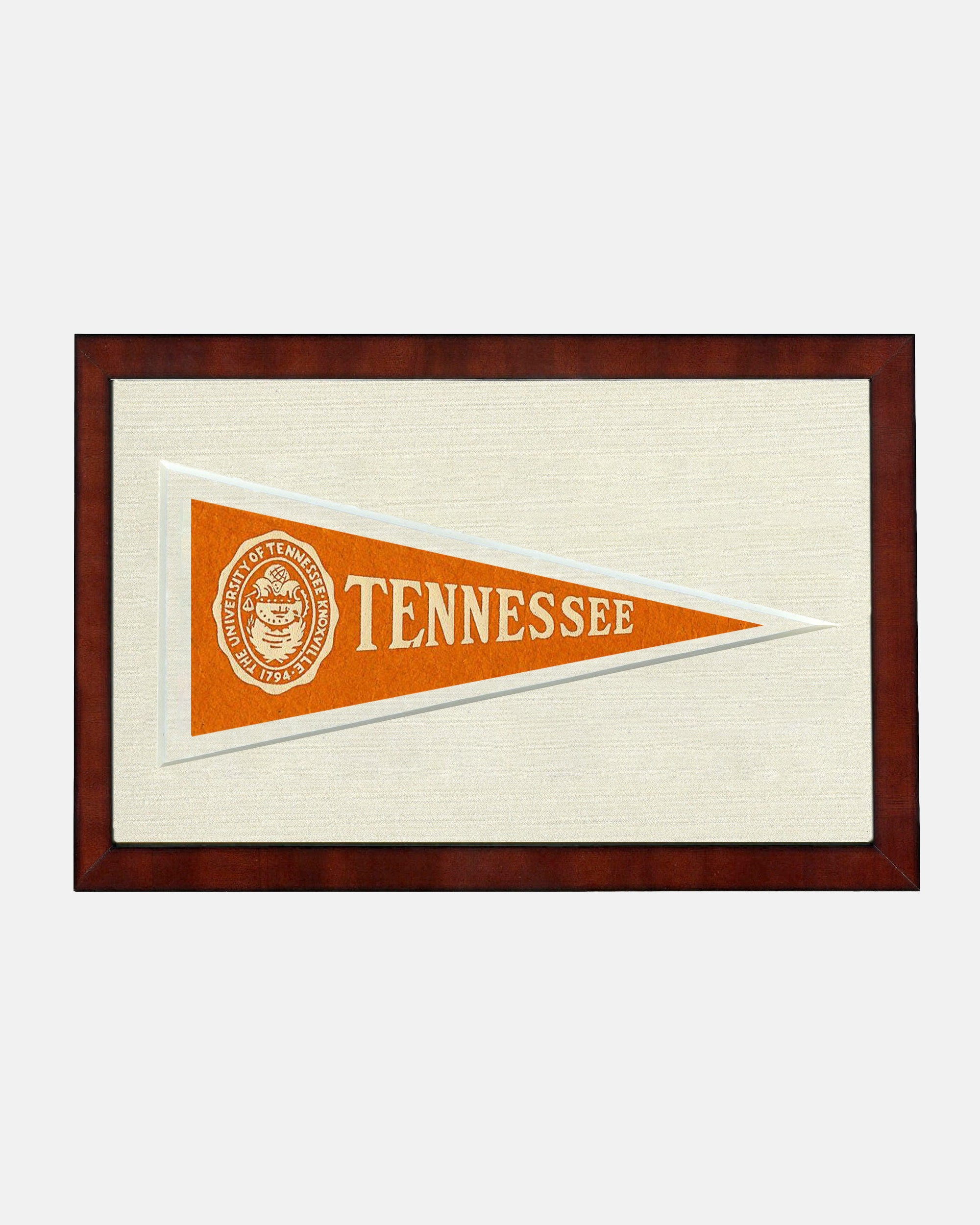 Tennessee Framed Vintage Pennant