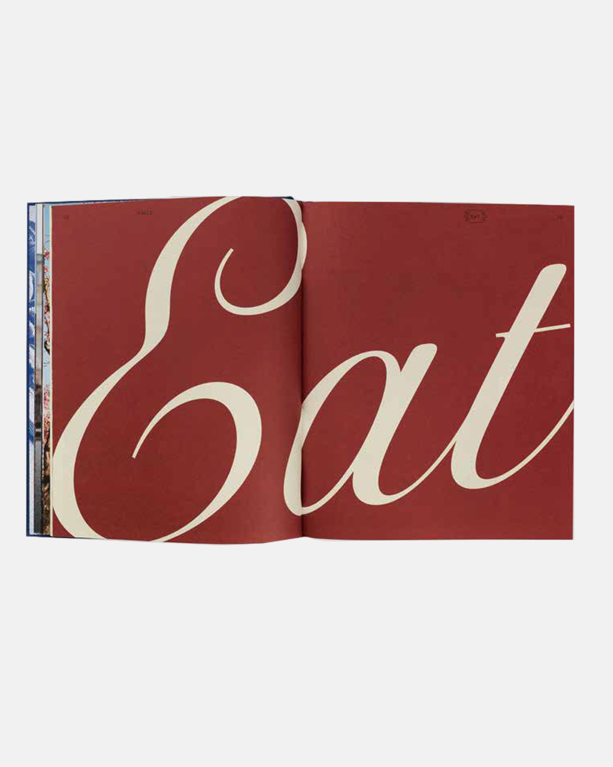 Type 7 Travel Guide To Paris