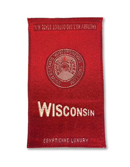 University of Wisconsin Silk Paperweight